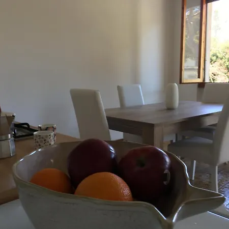 Tatil Evi L'argonauta